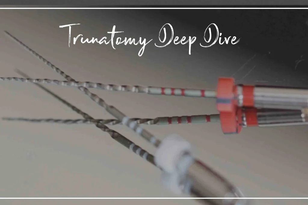 Trunatomy Deep Dive THUMBNAIL